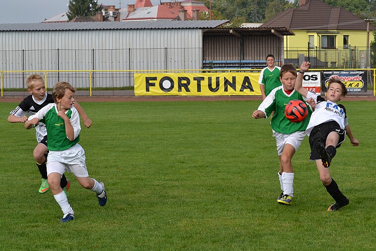 DSC_9284 null