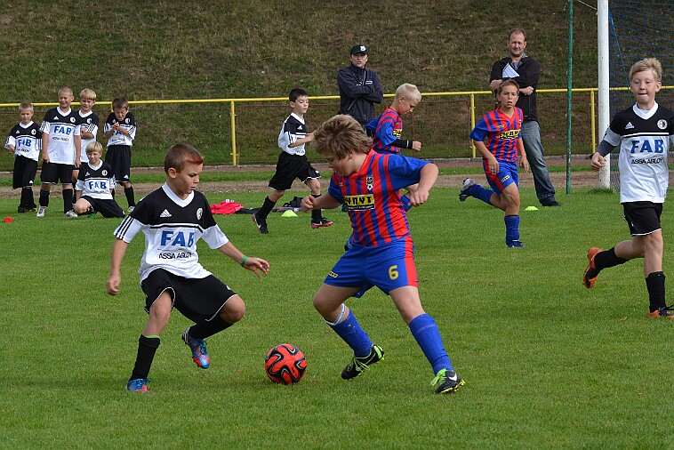 DSC_9494 null