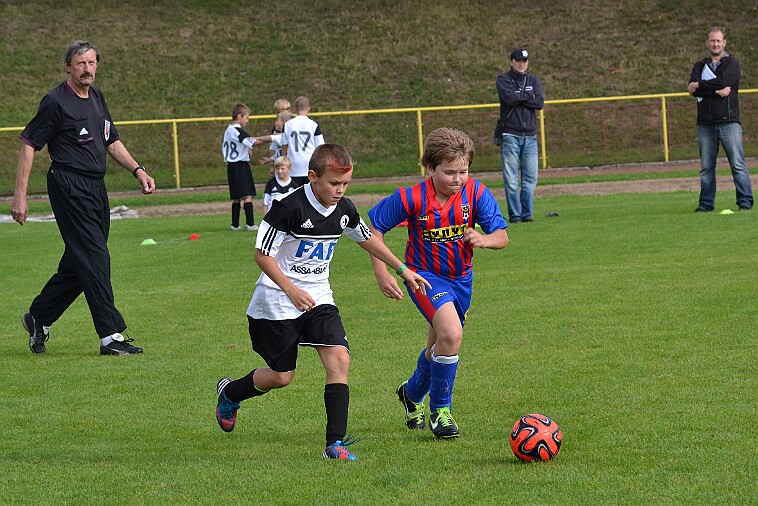 DSC_9500 null