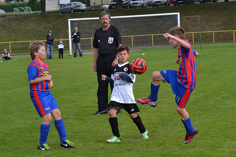 DSC_9507 null