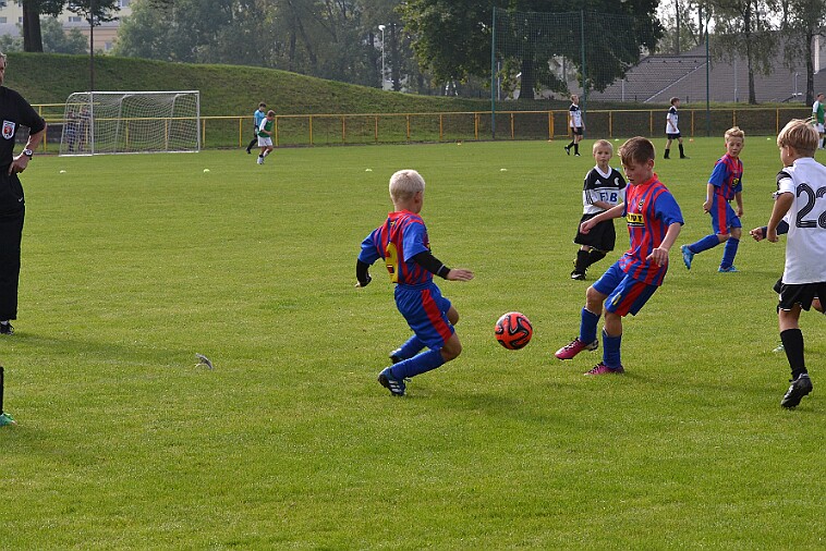 DSC_9532 null
