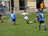 IMG 0367