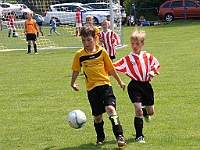 IMG 0055