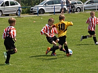 IMG 0089