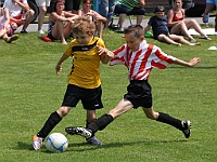 IMG 0153