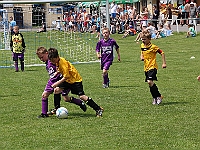 IMG 0565