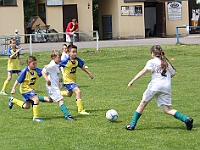 IMG 0698