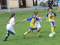 IMG 0746
