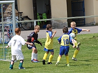 IMG 0782