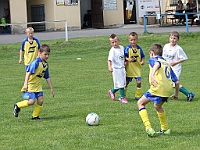 IMG 0799