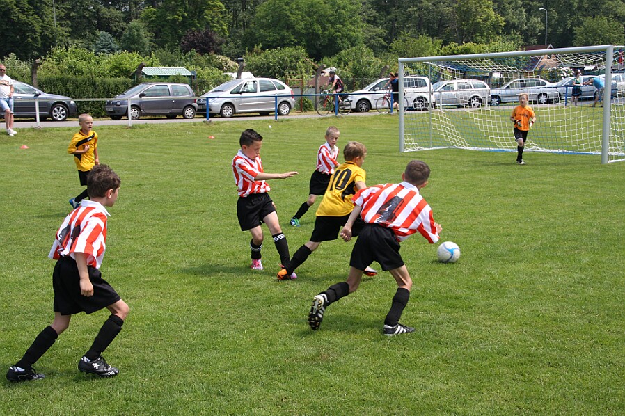 Rychnov B - Borohrádek