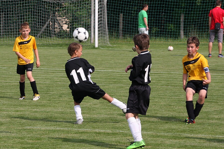 02-Borohrádek - Vamberk