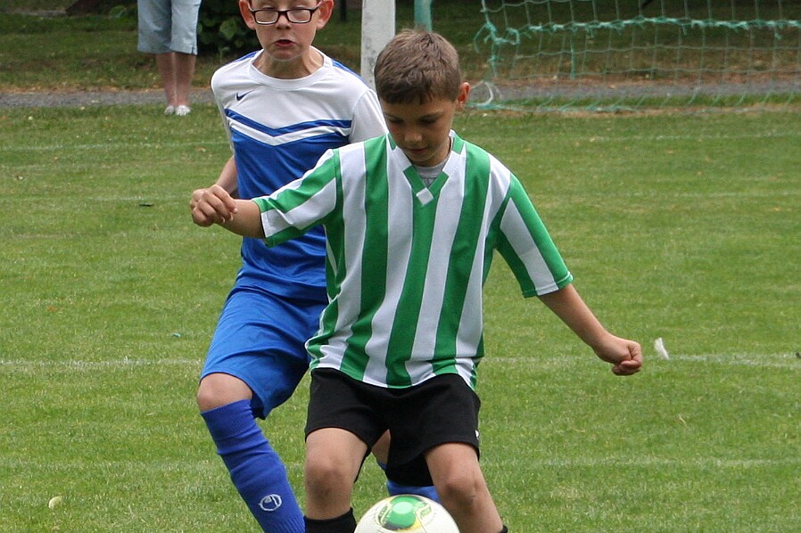 03 Borohrádek B - Lípa