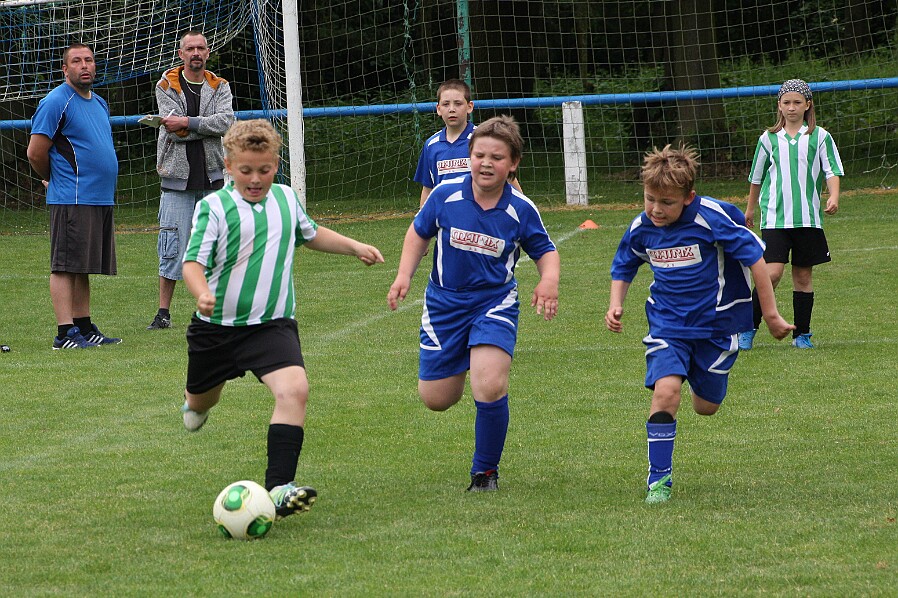 10 Borohrádek B - Černíkovice
