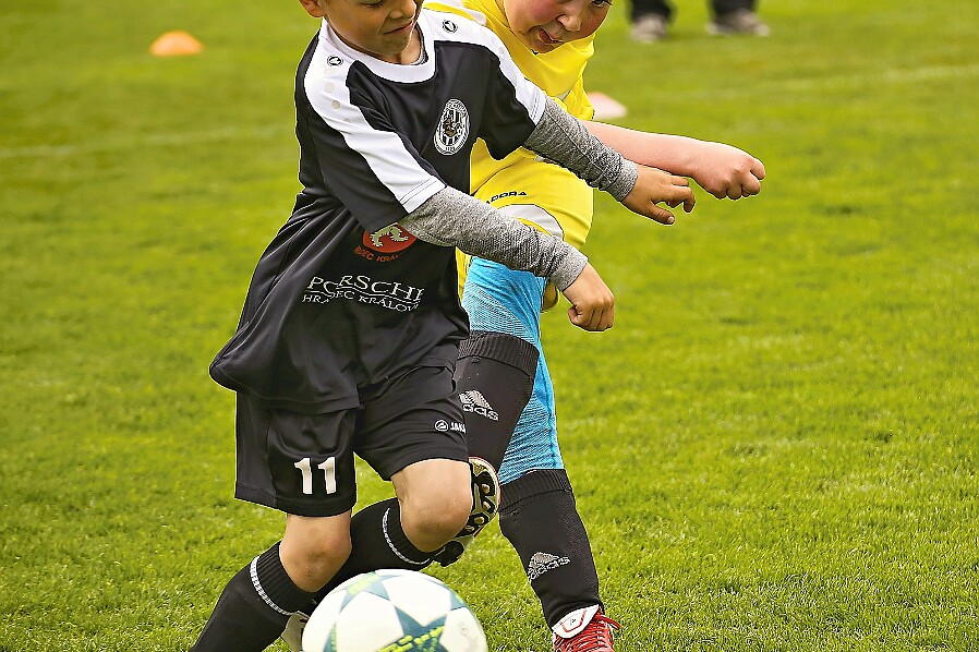 Javorka+Miletín - H.Králové Zobrazení fotogalerie p. Reichlové