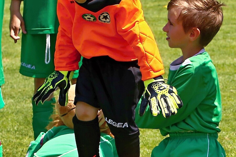 Javorka - D.Králové