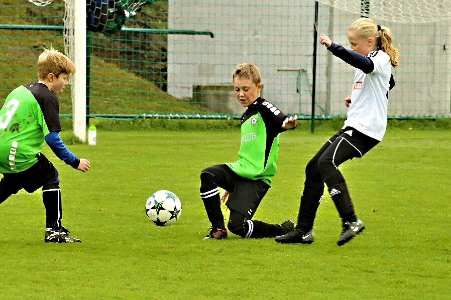 Javorka - Hořice Fotogalerie paní I. Reichlové