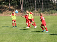 03 Borohrádek - Jaroměř