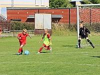 180616 03 Borohrádek - Jaroměř 002