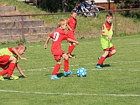 180616 03 Borohrádek - Jaroměř 007