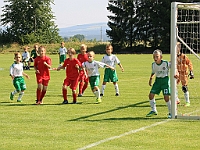 07 Solnice bílá - Borohrádek