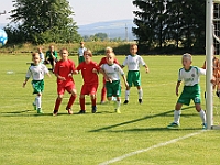 180616 07 Solnice bílá - Borohrádek 002