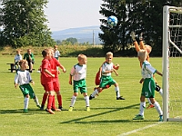 180616 07 Solnice bílá - Borohrádek 003