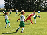 180616 07 Solnice bílá - Borohrádek 007