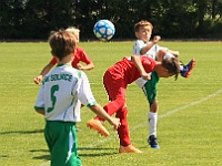 180616 07 Solnice bílá - Borohrádek 008