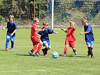 180616 11 Borohrádek - Dobruška+Opočno 003