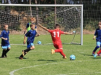 180616 11 Borohrádek - Dobruška+Opočno 007