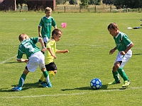 180616 12 Solnice zelená - Opočno+Dobruška 007