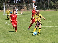 180616 15 Libchavy - Borohrádek 007