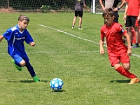 180616 24 Borohrádek - Letohrad 010