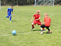 180616 24 Borohrádek - Letohrad 014