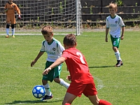 180616 29 Borohrádek - Solnice bílá 010