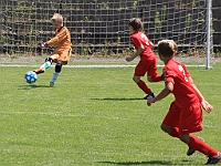 180616 29 Borohrádek - Solnice bílá 012