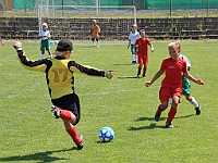 180616 29 Borohrádek - Solnice bílá 014