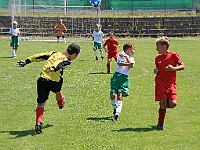 180616 29 Borohrádek - Solnice bílá 015