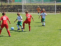 180616 29 Borohrádek - Solnice bílá 018