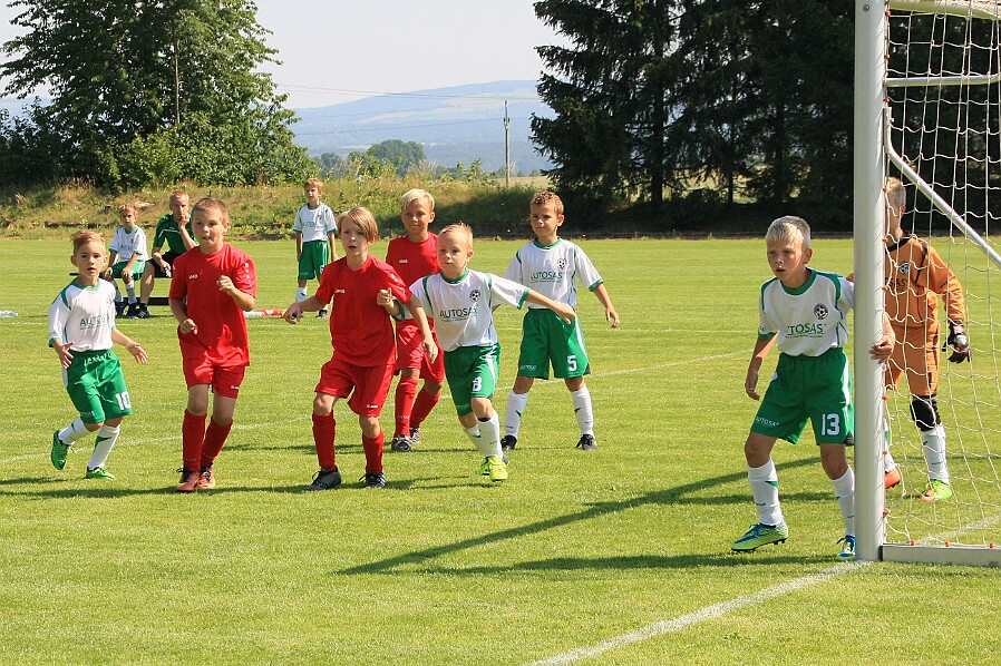 07_Solnice bílá - Borohrádek