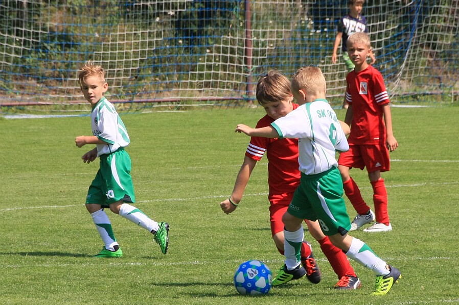 13_Solnice bílá - Jaroměř