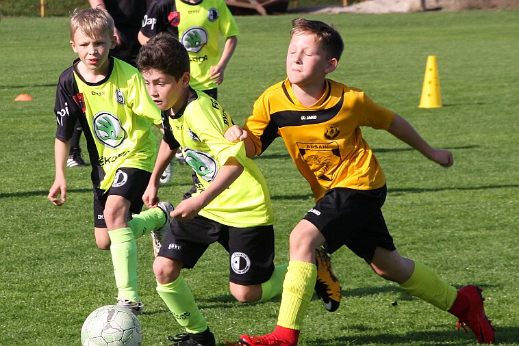 20180421_Rychnov - Nový Hradec+Černilov 018 null