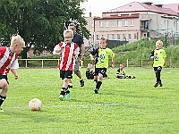 20180509 Rychnov žlutá - Týniště B 009