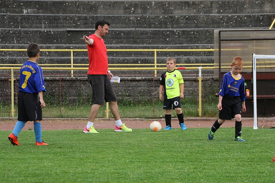 Rychnov žlutá - Lípa