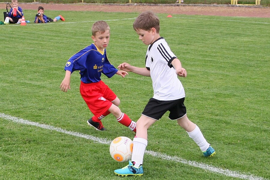 Rychnov bílá - Lípa