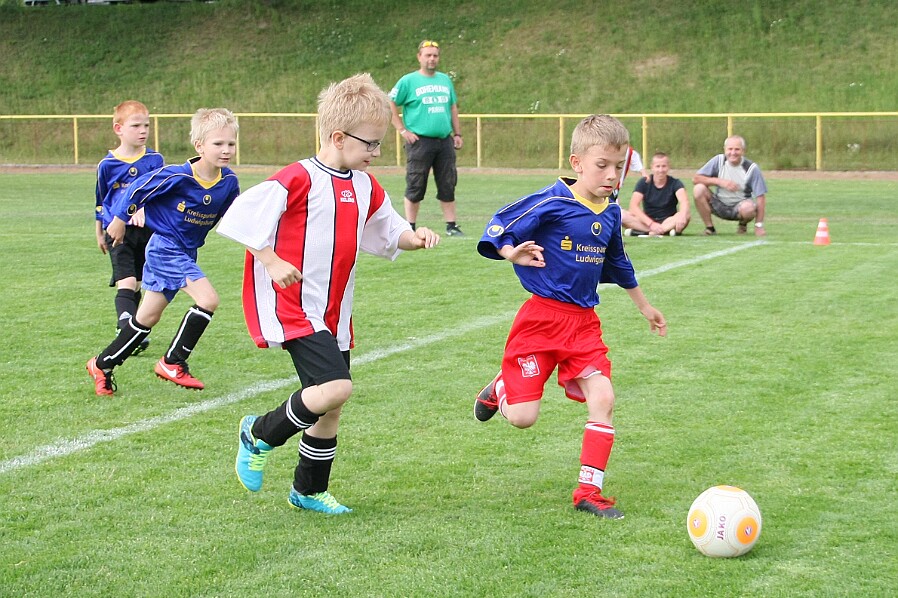 Týniště B - Lípa