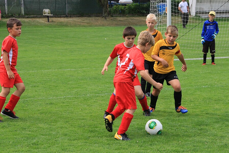 16_Borohrádek - České Meziříčí