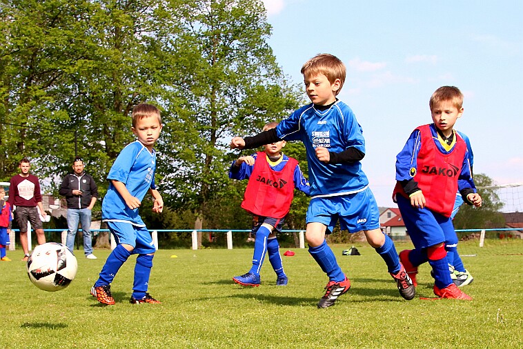 Lípa - Borohrádek 007 null