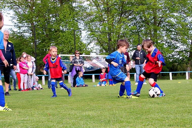 Lípa - Borohrádek 009 null